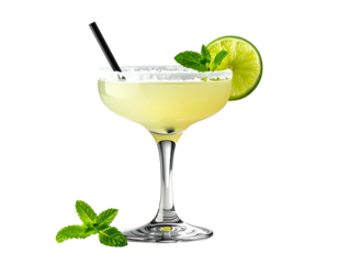 Refreshing, salt-rimmed cocktail with lime and mint garnish