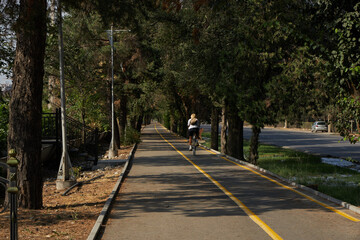 Woman cycling on a tree-lined path for exercise and healthy lifestyle. Outdoor recreation in a park for urban escape and wellbeing.