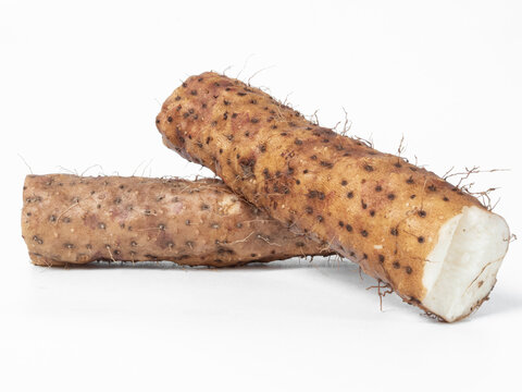 Fresh Mountain Yam Tubers On Clean White