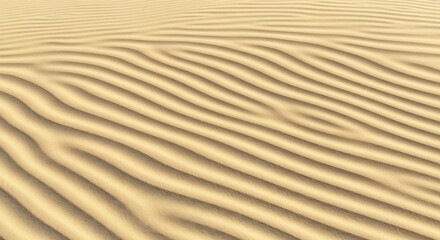 Golden desert sand with intricate windformed ripples and textured patterns highlighted by light and shadow