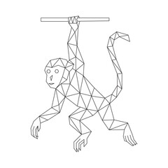 Polygonal line art of monkey hanging vector