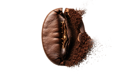 brown coffee bean with ground coffee spilling out one side