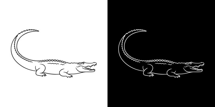 Elegant monochrome vector illustration of a sleek alligator or crocodile with a distinctive curved tail, ideal for brand logos, wildlife concepts, and modern graphic design projects