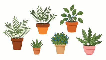 A collection of various potted houseplants including ferns, a berry plant, and a succulent, displayed on a white background. © hudannrmtqn