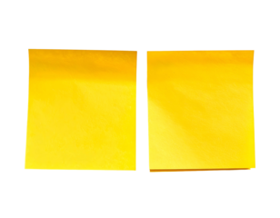 Two blank bright yellow squares on a black background
