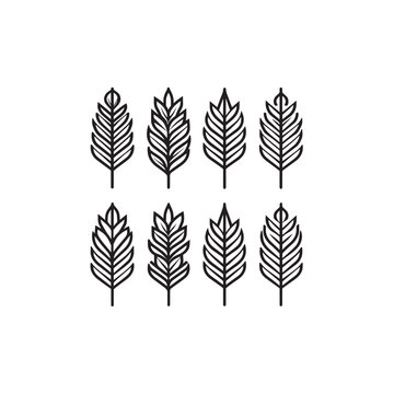 Kenaf icon simple modern line art 