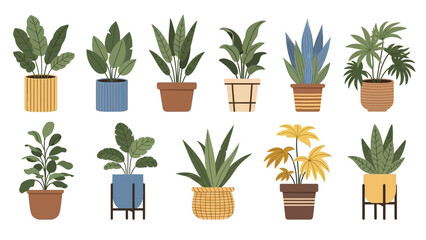 set of plants in pots, white background