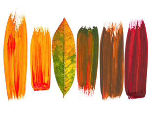 Painted brushstrokes and leaf, autumn color palette