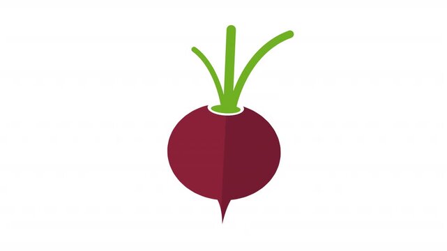 Radish Vector Icon