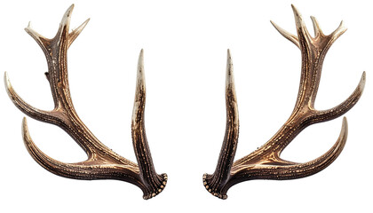 Deer antlers, two pairs, brown texture, isolated