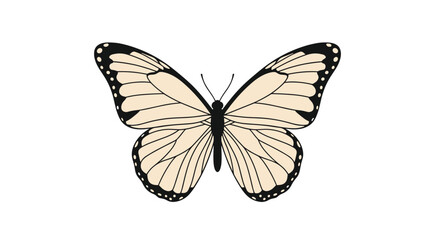 Fototapeta premium An elegant and simple illustration of a beautiful butterfly with open wings, drawn with clean black lines on white background.