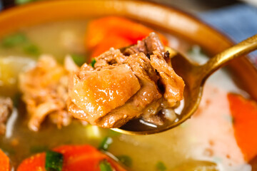 Stewed Duck with Radish and Vegetables Soup Dish