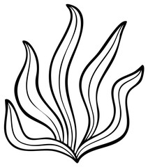 Naklejka premium Line art of sea plant. Black outlines of ocean vegetation. Vector illustration of seaweed. Aquatic plants isolated on white background.