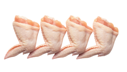 Four raw chicken wings isolated PNG on transparent background, uncooked poultry parts for cooking and food preparation