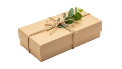Tan gift box with twine and eucalyptus PNG isolated, present for special occasion or holiday celebration on transparent background