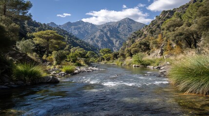 Scenic Mountain River Landscape with Lush Vegetation Clear Water and Distant Peaks Under a Bright Sunny Sky