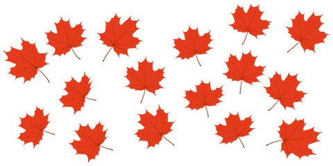 Maple leaf texture pattern vector background.