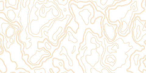 Fototapeta premium Golden Topographic Contour Lines Vector Illustration Inspired by Natural Terrain Flow, Elevation Mapping, and Minimalist Geometric Landscape Design on a Clean White Background.
