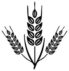 Obraz premium Wheat plant graphic icon isolated on white background.