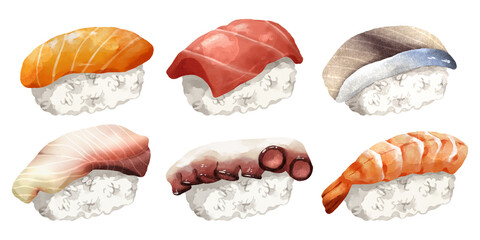 Premium realistic hand-drawn watercolor illustration set of traditional Japanese Nigiri sushi. Featuring salmon, tuna, mackerel, yellowtail, octopus, and shrimp on rice. Transparency background