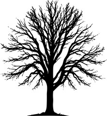 Obraz premium Climate Crisis Illustration Half Dry Tree Nature Warning