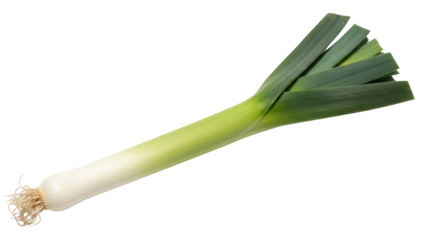 Fresh leek isolated PNG on transparent background, vibrant green vegetable with layers of leaves for culinary and healthy eating concepts