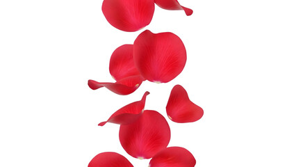 red rose petals falling in sequence on transparent background