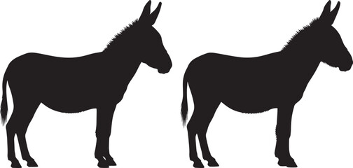 Fototapeta premium Two donkey silhouettes isolated on white background