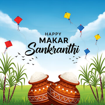 Happy Pongal festival banner vector illustration. South Indian festival. Makar sankranthi or pongal greeting.