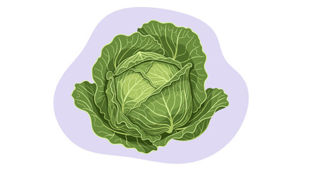 Fototapeta premium Fresh green cabbage head with detailed leaves and veins, shown as a vibrant cartoon illustration against a light purple organic backdrop.