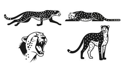 Black and white cheetah animal illustrations. © Raffi
