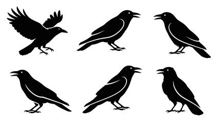 Obraz premium Black silhouette of various crows.
