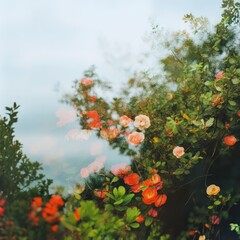 Blooming floral serenity colorful flower garden nature scene vibrant summer atmosphere