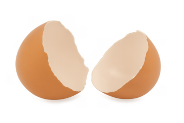 Broken brown eggshell halves illustrating fragility