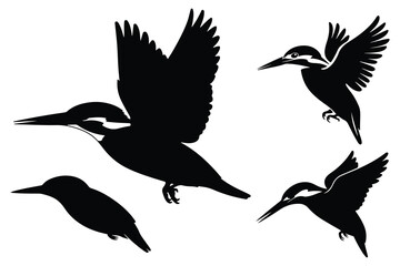 Obraz premium Four Black and White Birds Flying Silhouettes