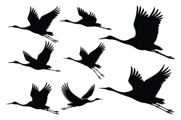 Obraz premium Seven Black Crane Birds Flying Silhouettes