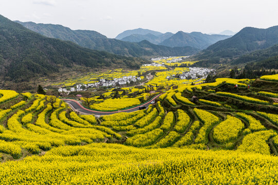 Wuyuan Rapeseed Flowers - Aerial Mountain Valley Landscape, Jiangxi China