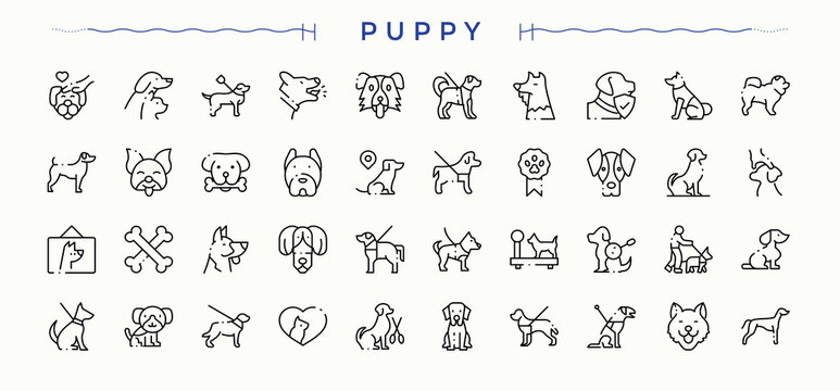 Puppy modern icon set. Puppy line icon set. Contain linear sign pet, domestic, dog, animal, animals and more. Editable stroke. Vector collection.
