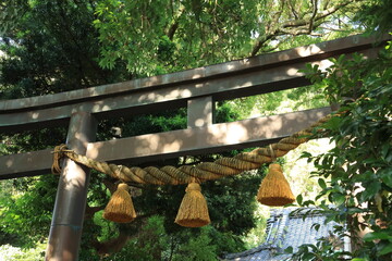 日差しが当たる神社のしめ縄と鳥居　夏