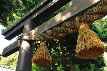 日差しが当たる神社のしめ縄と鳥居　夏