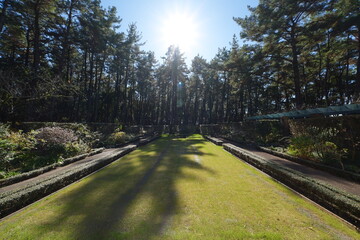 宮崎県宮崎市の英国式庭園