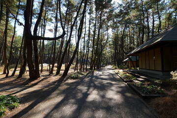 宮崎県宮崎市の英国式庭園