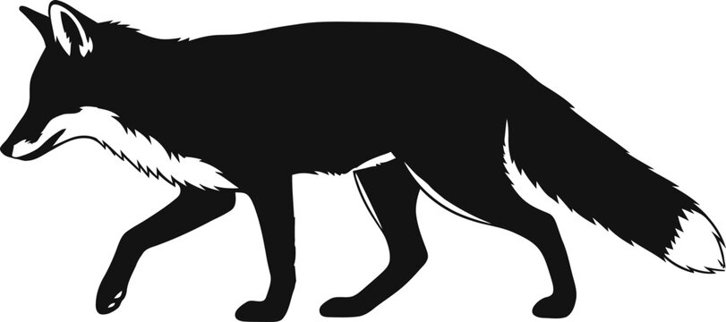 Black Fox Silhouette Illustration Elegant Canine Predator Walking Isolated on White Background forest animal