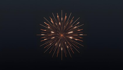Abstract Exploding Firework Burst on Dark Background