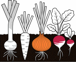 An illustration displays various root vegetables underground, showcasing their diversity and importance in agriculture, representing nourishment and healthy living.