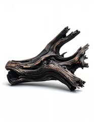 Weathered Dark Driftwood Branch Isolated on White Background.