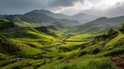 Fototapeta premium Lush Green Mountain Valley with Golden Sunlight and Serene Atmosphere in Rwanda