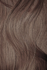 Fototapeta premium Brown hair close-up as a background. Women's long brown hair. Beautifully styled wavy shiny curls. Hair coloring. Hairdressing procedures, extension.