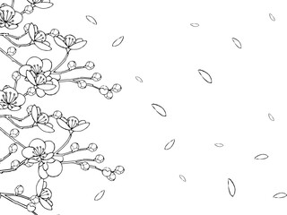 花びら舞い散る梅の背景イラスト