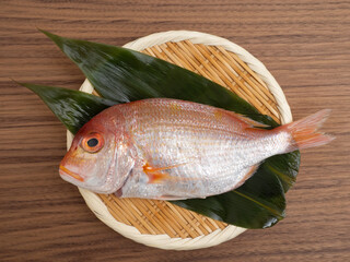 下拵えしたレンコダイ